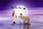 بک دراپ کریسمس خرس قطبی و ماه