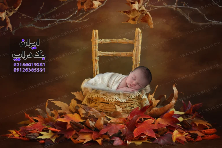 بک گراند دانلودی نوزادی صندلی چوبی پاییزه کد IBD-7318