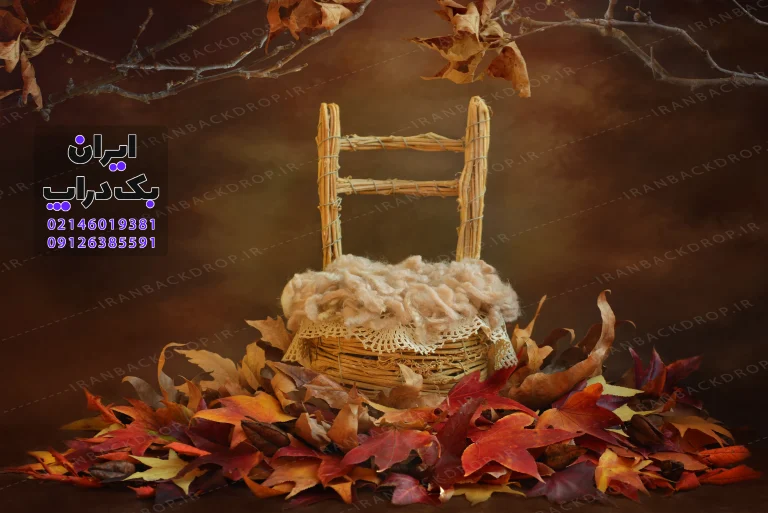 بک گراند دانلودی نوزادی صندلی چوبی پاییزه کد IBD-7318