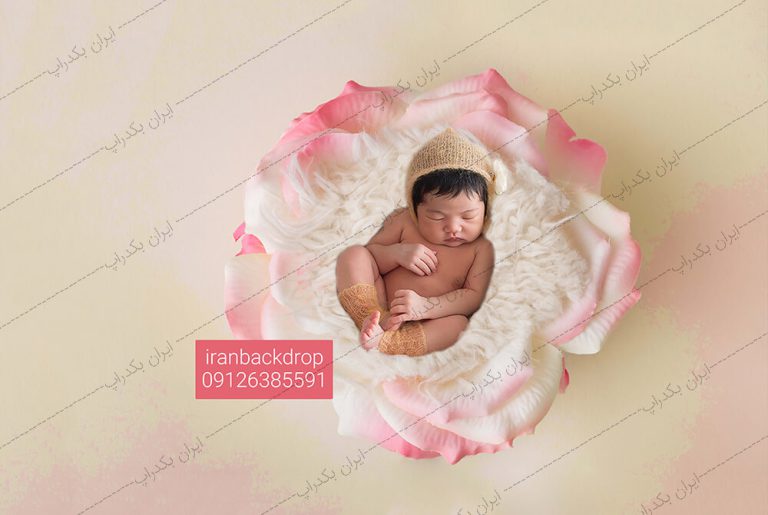 بک گراند نوزاد گل رز صورتی آتلیه ی عکاسی کد IBD-1320