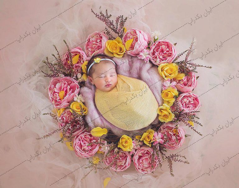 بک گراند نوزاد عکاسی با گل های صورتی و زرد کد IBD-2047