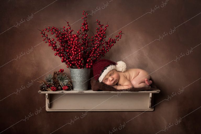 بک دراپ شلف نوزاد به همراه گلدان و کریسمس IBD-2248