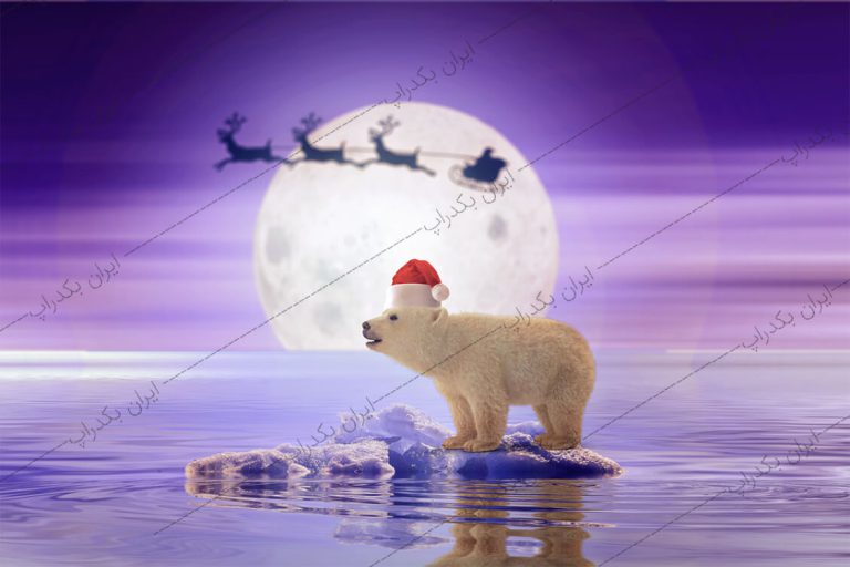 بک دراپ کریسمس خرس قطبی و ماه کد IBD-2306