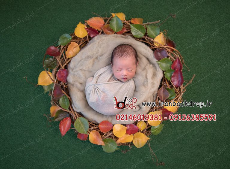 بک گراند عکاسی نوزادی فصل پاییز کد IBD-2468