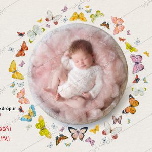 بک دراپ عکاسی نوزاد با پروانه های نقاشی شده فانتزی