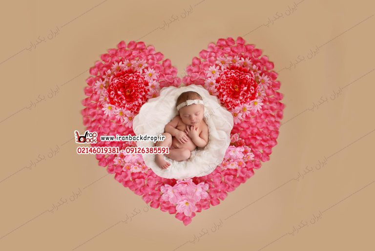 بک گراند دیجیتال عکاسی ولنتاین نوزادی دخترانه کد IBD-2881