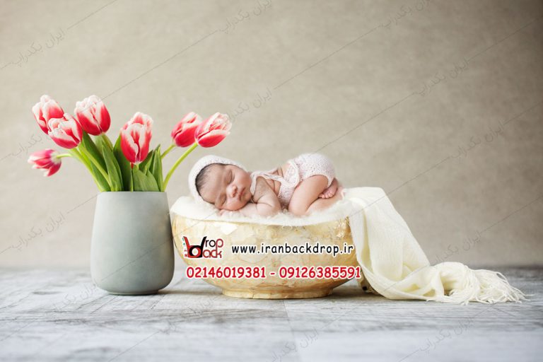 بک دراپ عکاسی نوزاد سبد و گل لاله قرمز کد IBD-3057