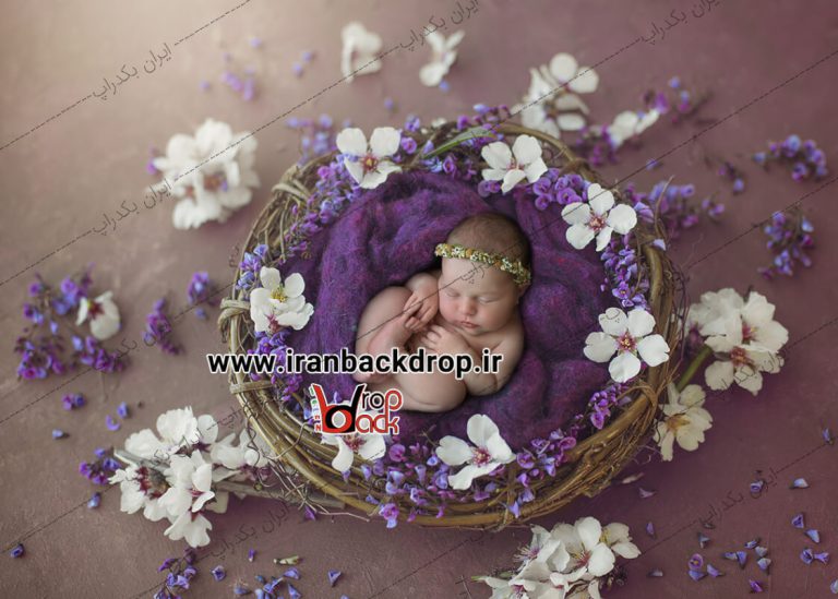 بک دراپ عکاسی سبد نوزادی با تم بنفش کد IBD-3082