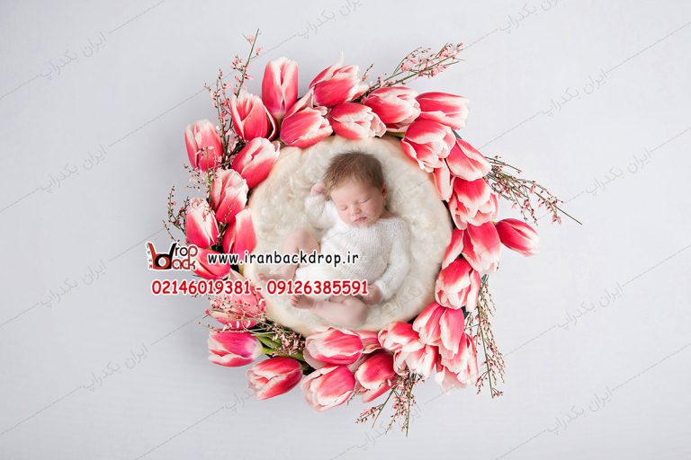 بک دراپ عکاسی نوزاد سبد با دورپیچ گل لاله قرمز کد IBD-3446