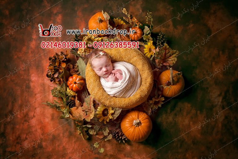 بک دراپ عکاسی نوزاد تم پاییز و هالووین کد IBD-3673