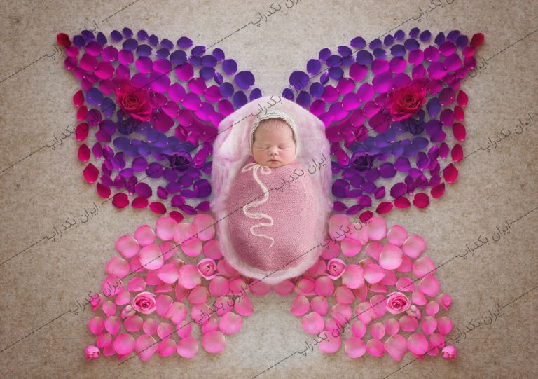 بک دراپ نوزاد پروانه گلبرگ های رز صورتی و بنفش کد IBD-3732