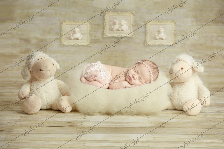 بک دراپ نوزاد دیجیتال عروسک گوسفند ویژه عید قربان کد IBD-4366