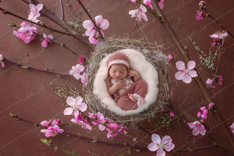 بک دراپ نوزاد سبد چوبی با گل های ریز صورتی کد IBD-4460