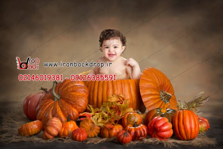 بک گراند عکاسی کودک و نوزاد هالووین و پاییز کد IBD-4629