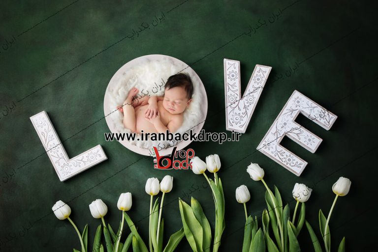بک دراپ نوزاد گل های لاله love و ولنتاین کد IBD-4787