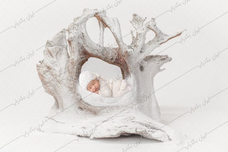 بک دراپ نوزاد تنه درخت برفی IBD-5123
