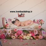 بک دراپ عکاسی تخت نوزاد با دکور گل های بهاری