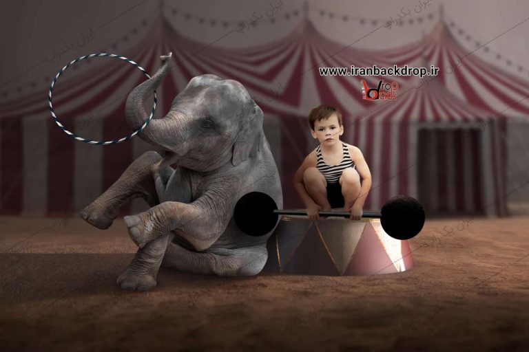 بک گراند عکاسی پسرانه فانتزی، سیرک و فیل کد IBD-5696