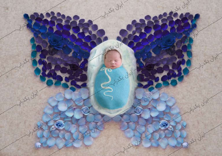بک دراپ نوزاد پروانه گلبرگ های رز آبی کد IBD-5784