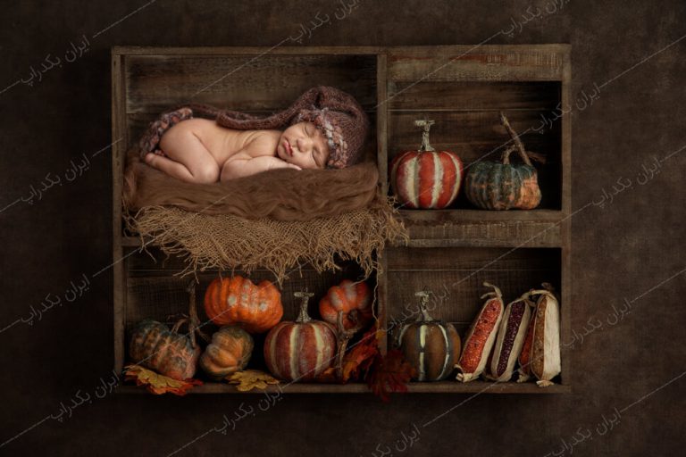بک گراند نوزاد هالووین آتلیه عکاسی کد IBD-7118