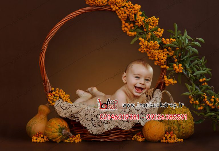 بک گراند عکاسی کودکانه و نوزادی تم پاییز و هالووین کد IBD-7147