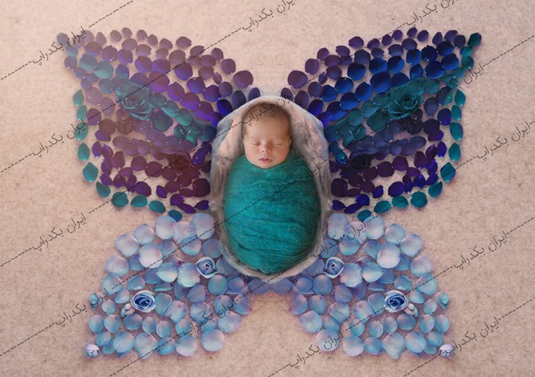 بک دراپ نوزاد پروانه گلبرگ های رز آبی و بنفش کد IBD-7183