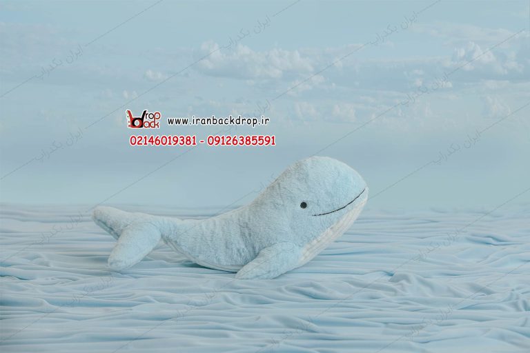 بک گراند عکاسی نوزادی تابستانی نهنگ، دلفین با تم پارچه ای کد IBD-7284