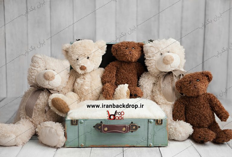بک دراپ عکاسی نوزادی چمدان و خرس ها کد IBD-7689