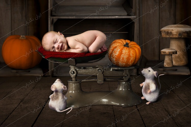 بک گراند دیجیتال عکاسی نوزاد و کودک هالووین کد IBD-8327