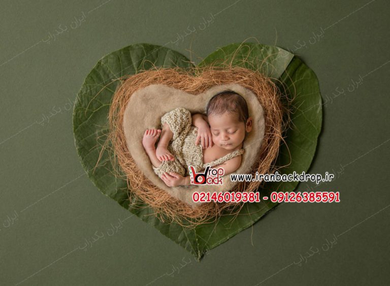 بک دراپ عکاسی ولنتاین نوزادی برگ سبز کد IBD-8483