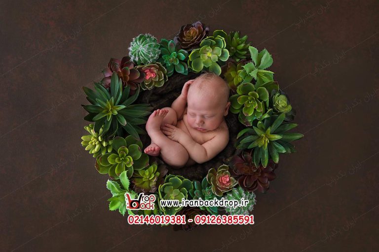 بک دراپ دیجیتال عکاسی نوزادی تم کاکتوس و گیاهان سبز کد IBD-8789