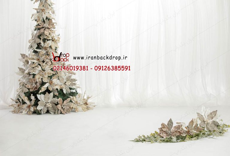 بک گراند عکاسی بارداری و عروسی فضای سفید و زمستانی کد IBD-9201