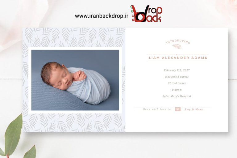 آلبوم لایه باز نوزادی اسمارت آبجکت سایز 25×50 کد IBD-9541