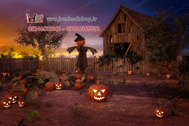 بک گراند عکاسی کودک و بزرگسال هالووین در مزرعه کد IBD-9856