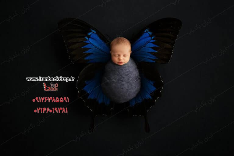 بک گراند عکاسی نوزاد تم پروانه کد IBD-9874