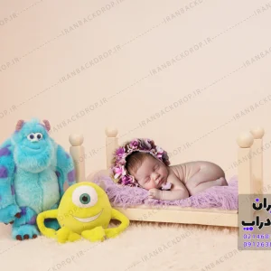 بک گراند کارتونی سالیوان تم نوزاد کد IBD-9924