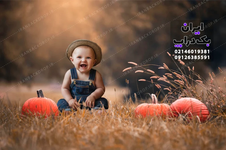 بک گراند عکاسی فضای باز تم هالوین ویژه همه سنین کد IBD-7354