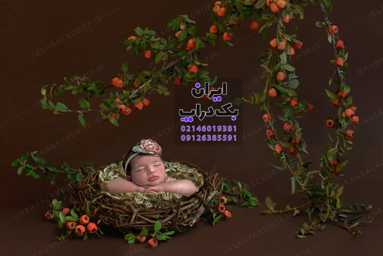 بک گراند دانلودی نوزادی با برگ های هالوین کد IBD-5014