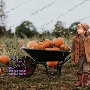 بک گراندفضای باز با فرغون تم هالوین دخترانه پسرانه کد IBD-8342