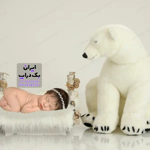 بک گراند دانلودی نوزادی تم خرس قطبی کد IBD-7192