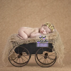 بک گراند دانلودی چرخ دار تم نوزاد کد IBD-1463