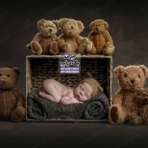 بک گراند عکاسی نوزادی تم عروسکی کد IBD-2089