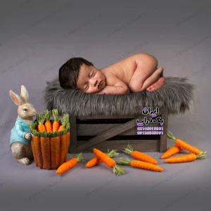 بک گراند عکاسی نوزادی کارتونی کد IBD-8714