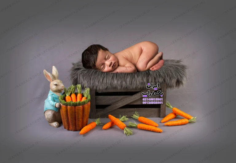 بک گراند عکاسی نوزادی کارتونی کد IBD-8714