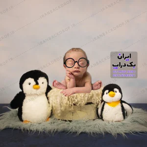بک گراند عکاسی کارتون پنگوئن تم نوزاد کدIBD-7781